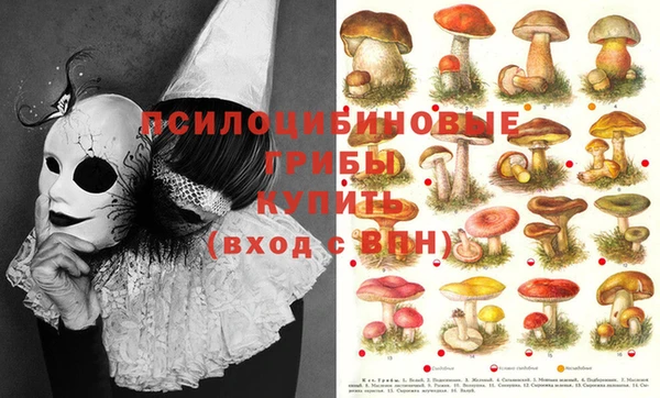 прущая мука Верхний Тагил