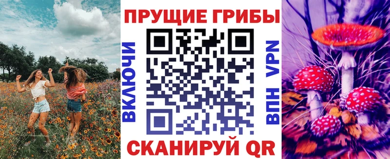 Псилоцибиновые грибы GOLDEN TEACHER  сайты даркнета состав  Воткинск 